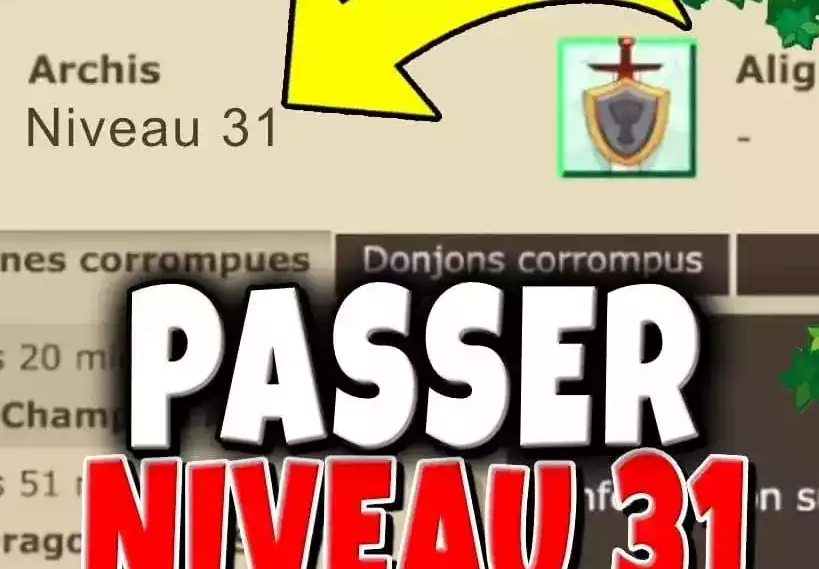 Image block-level-30-how-to-pass-level-31-on-dofus-retro-temporis-3