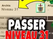 Image block-level-30-how-to-pass-level-31-on-dofus-retro-temporis-3